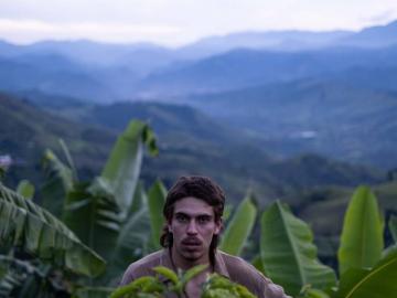 Visuel - La Roya - Portrait